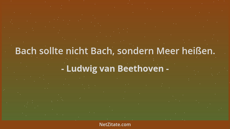 Ludwig van Beethoven - Bach sollte nicht Bach, sondern Meer heißen....