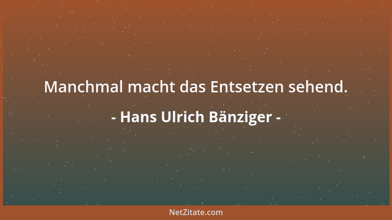 Hans Ulrich Bänziger - Manchmal macht das Entsetzen sehend....
