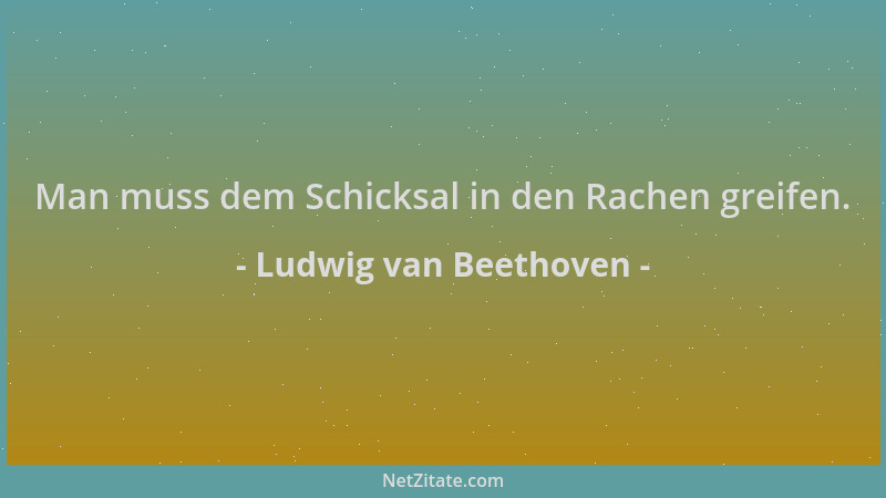 Ludwig van Beethoven - Man muss dem Schicksal in den Rachen greifen....