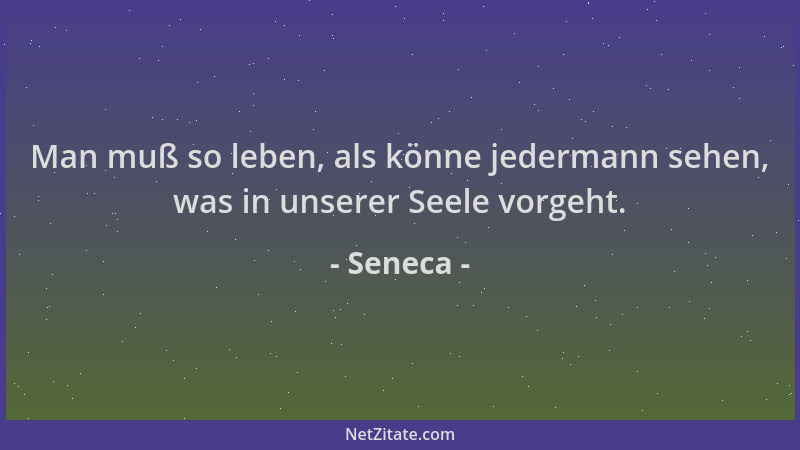 Seneca - Man muß so leben, als könne jedermann sehen, was in unserer Seele vorgeht....