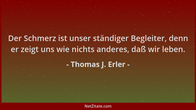 Thomas J. Erler - Der Schmerz ist unser ständiger Begleiter, denn er zeigt uns wie nichts anderes, daß wir leben....