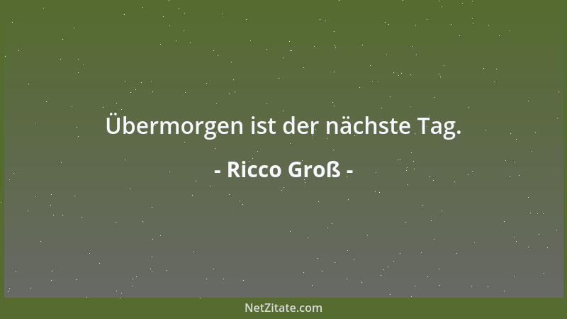 Ricco Groß - Übermorgen ist der nächste Tag....