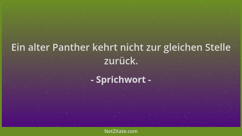 Sprichwort - Ein alter Panther kehrt nicht zur gleichen Stelle zurück....