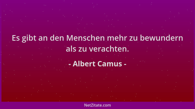 Albert Camus - Es gibt an den Menschen mehr zu bewundern als zu verachten....