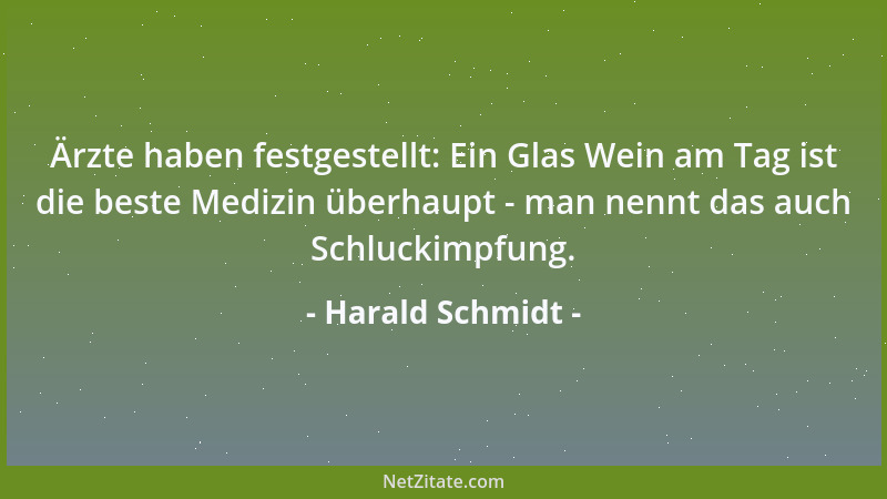 Harald Schmidt - Ärzte haben festgestellt: Ein Glas Wein am Tag ist die beste Medizin überhaupt - man nennt das auch Schluc...