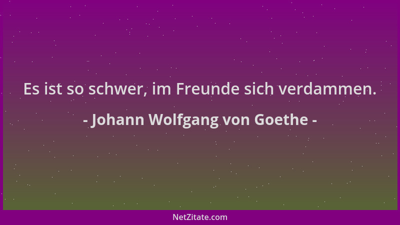 Johann Wolfgang von Goethe - Es ist so schwer, im Freunde sich verdammen....