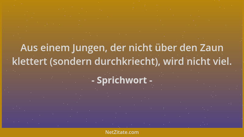 Sprichwort - Aus einem Jungen, der nicht über den Zaun klettert (sondern durchkriecht), wird nicht viel....