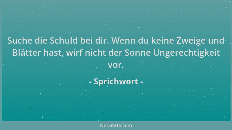 Sprichwort - Suche die Schuld bei dir. Wenn du keine Zweige und Blätter hast, wirf nicht der Sonne Ungerechtigkeit vor....
