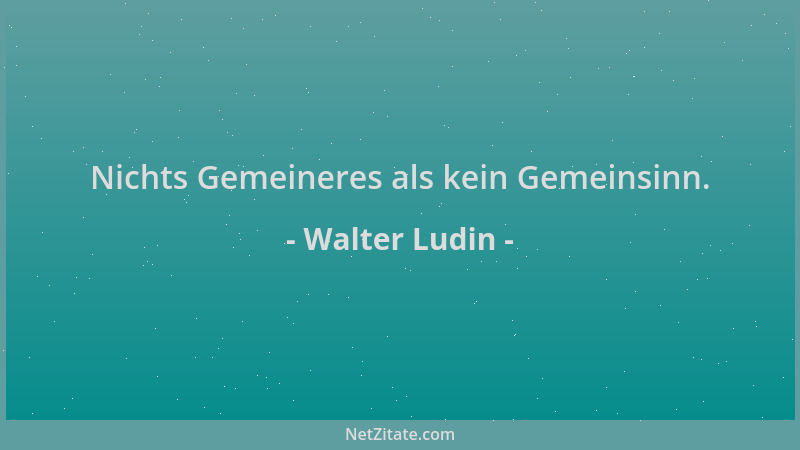 Walter Ludin - Nichts Gemeineres als kein Gemeinsinn....