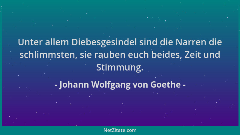 Johann Wolfgang von Goethe - Unter allem Diebesgesindel sind die Narren die schlimmsten, sie rauben euch beides, Zeit und S...