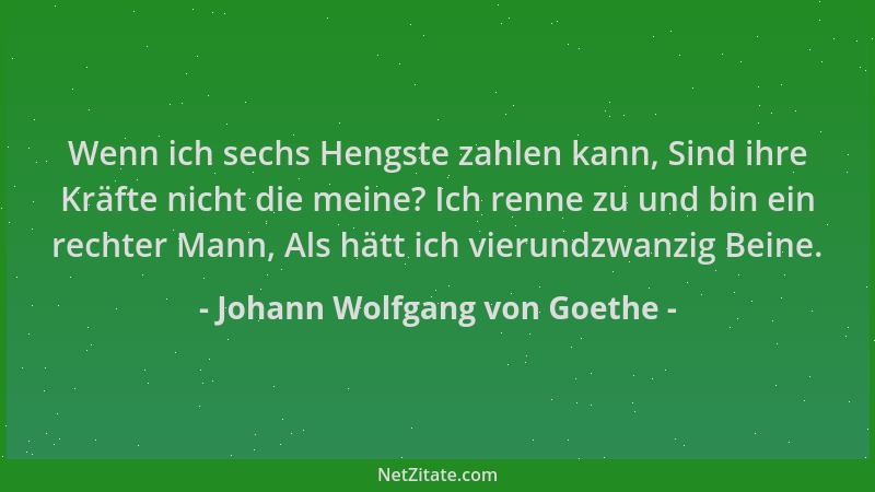 Johann Wolfgang von Goethe - Wenn ich sechs Hengste zahlen kann, Sind ihre Kräfte nicht die meine? Ich renne zu und bin ein...