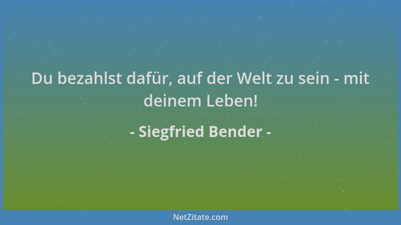 Siegfried Bender - Du bezahlst dafür, auf der Welt zu sein - mit deinem Leben!...