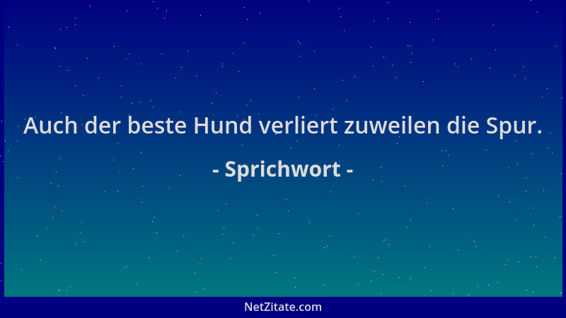 Sprichwort - Auch der beste Hund verliert zuweilen die Spur....