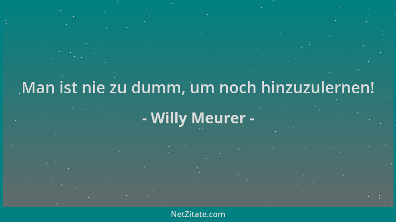 Willy Meurer - Man ist nie zu dumm, um noch hinzuzulernen!...