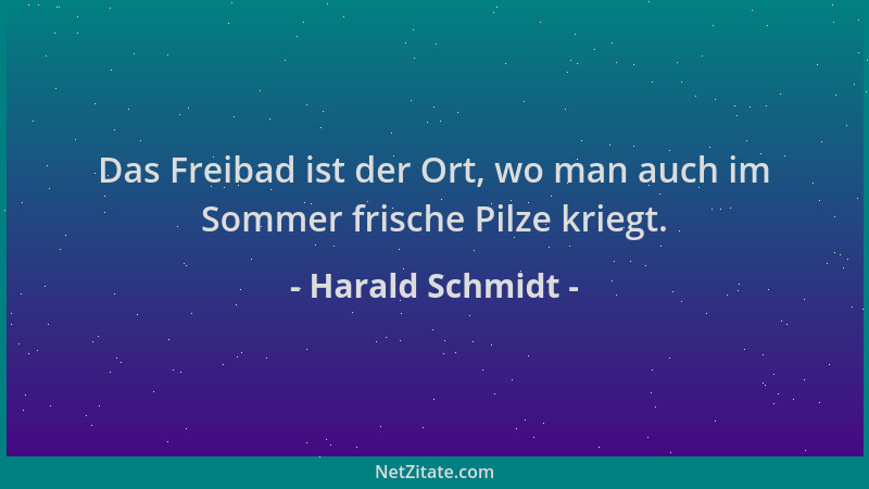 Harald Schmidt - Das Freibad ist der Ort, wo man auch im Sommer frische Pilze kriegt....