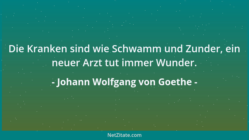 Johann Wolfgang von Goethe - Es ist Pflicht, anderen nur dasjenige zu sagen, was sie aufnehmen können....