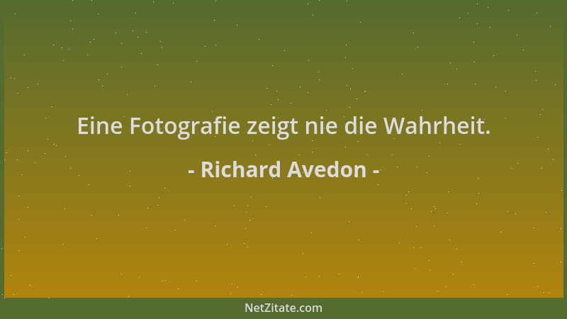 Richard Avedon - Eine Fotografie zeigt nie die Wahrheit....