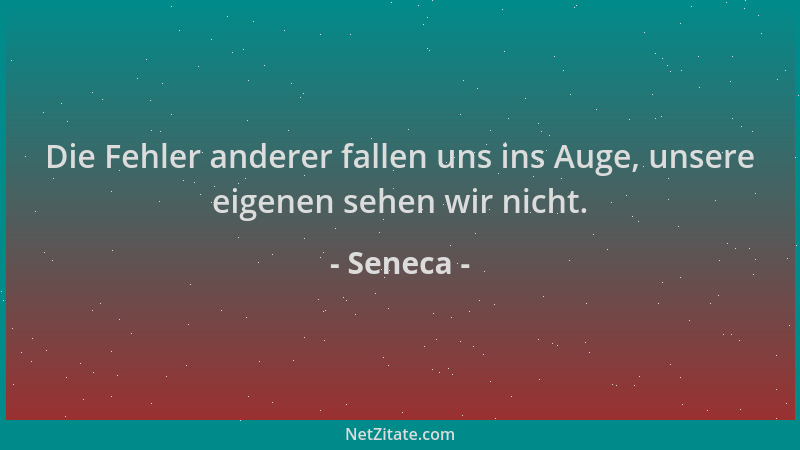 Seneca - Die Fehler anderer fallen uns ins Auge, unsere eigenen sehen wir nicht....