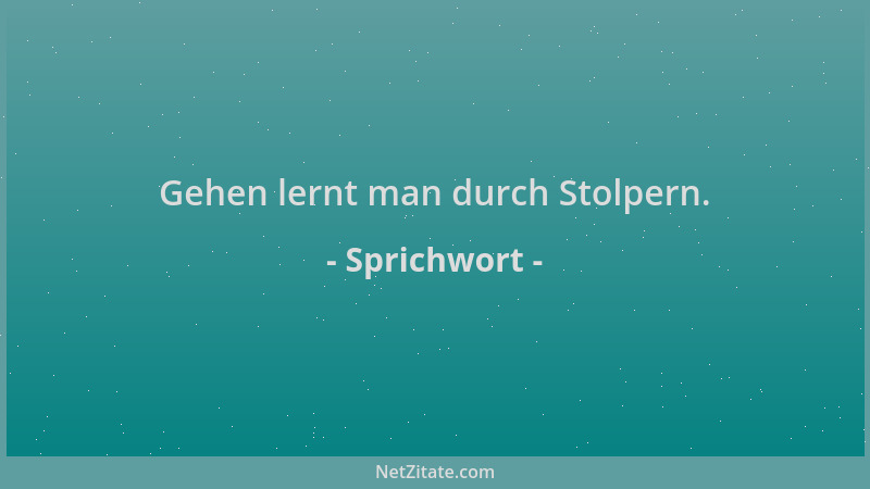 Sprichwort - Gehen lernt man durch Stolpern....