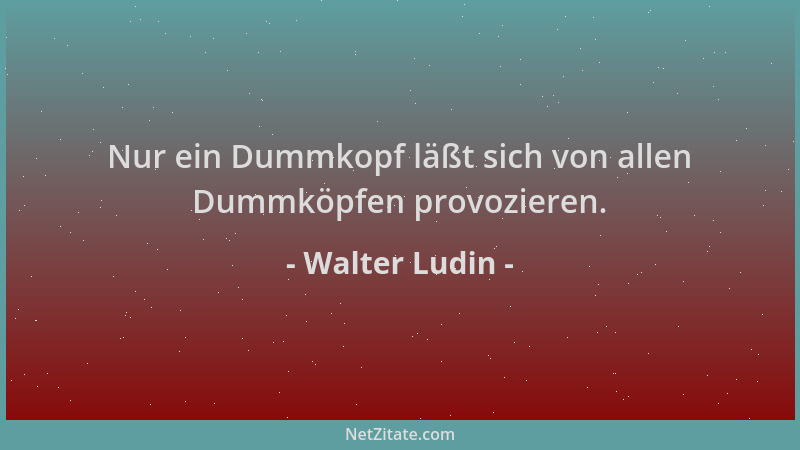 Walter Ludin - Nur ein Dummkopf läßt sich von allen Dummköpfen provozieren....