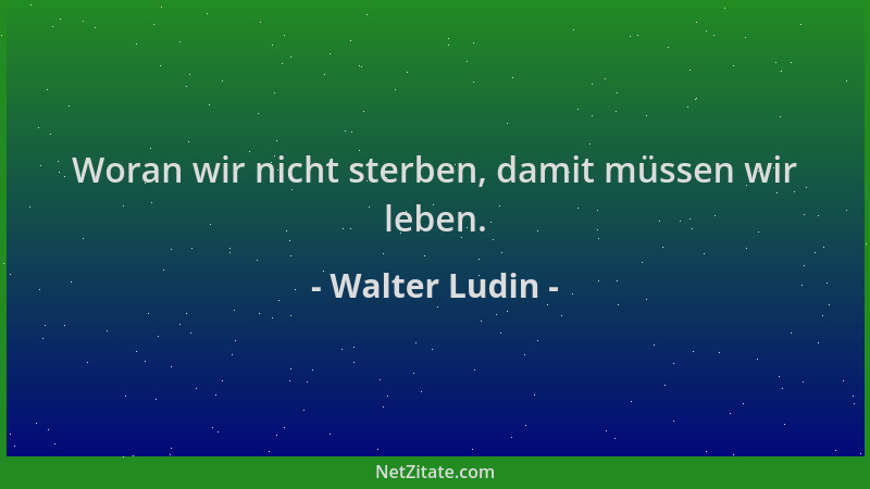 Walter Ludin - Woran wir nicht sterben, damit müssen wir leben....