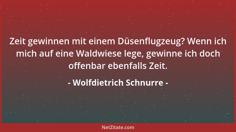 Wolfdietrich Schnurre - Zeit gewinnen mit einem Düsenflugzeug? Wenn ich mich auf eine Waldwiese lege, gewinne ich doch offe...