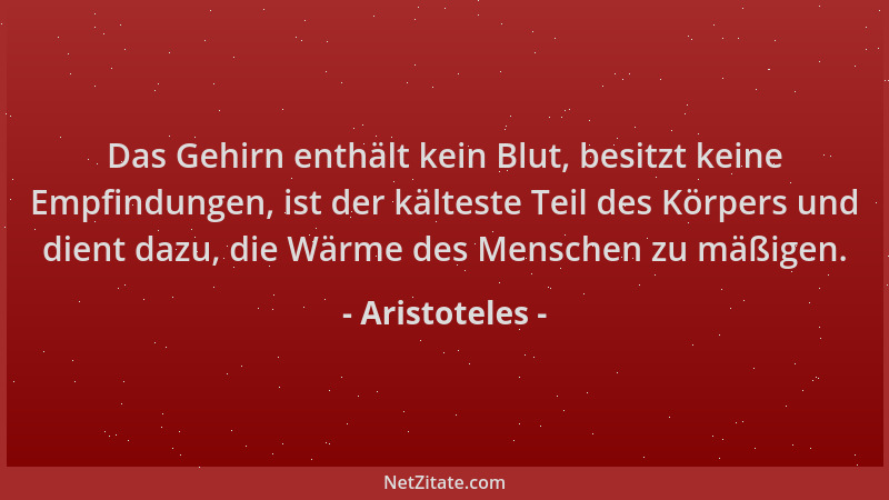 Aristoteles - Das Gehirn enthält kein Blut, besitzt keine Empfindungen, ist der kälteste Teil des Körpers und dient dazu, d...