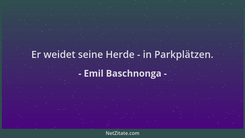 Emil Baschnonga - Er weidet seine Herde - in Parkplätzen....