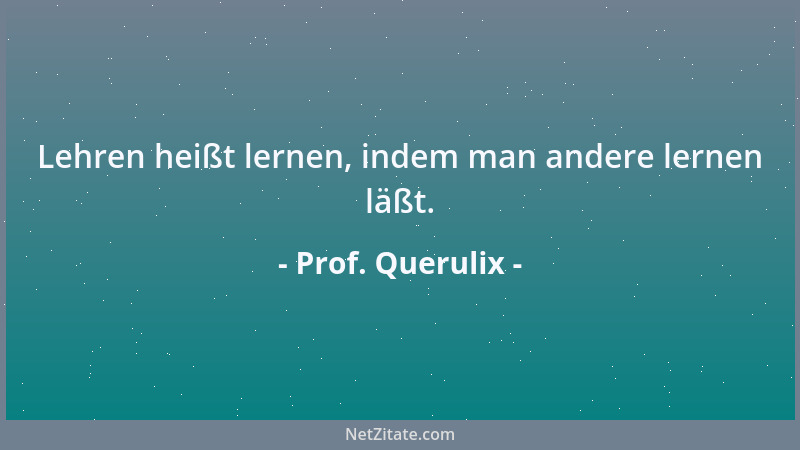 Prof. Querulix - Lehren heißt lernen, indem man andere lernen läßt....