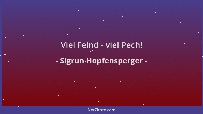 Sigrun Hopfensperger - Viel Feind - viel Pech!...