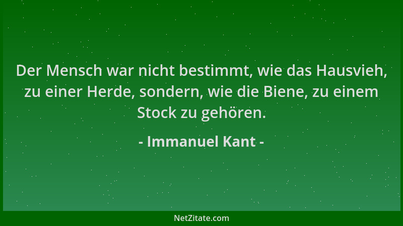 Immanuel Kant - Der Mensch war nicht bestimmt, wie das Hausvieh, zu einer Herde, sondern, wie die Biene, zu einem Stock zu...