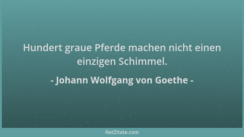 Johann Wolfgang von Goethe - Hundert graue Pferde machen nicht einen einzigen Schimmel....