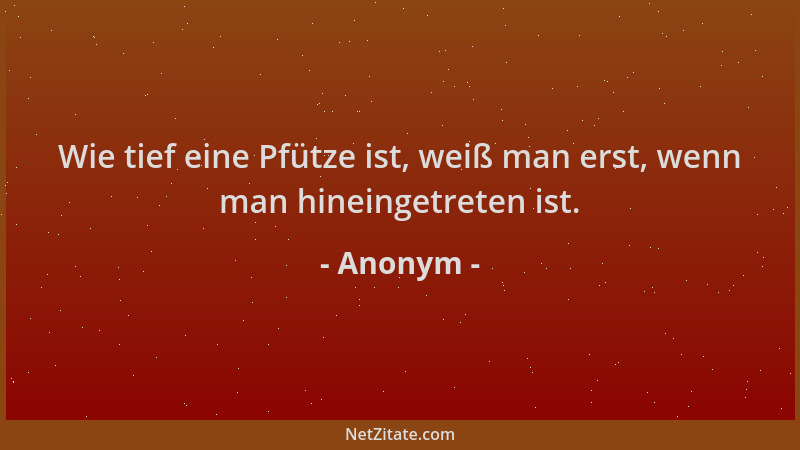 Anonym - Wie tief eine Pfütze ist, weiß man erst, wenn man hineingetreten ist....