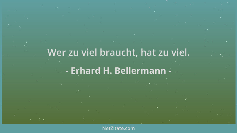 Erhard H. Bellermann - Wer zu viel braucht, hat zu viel....