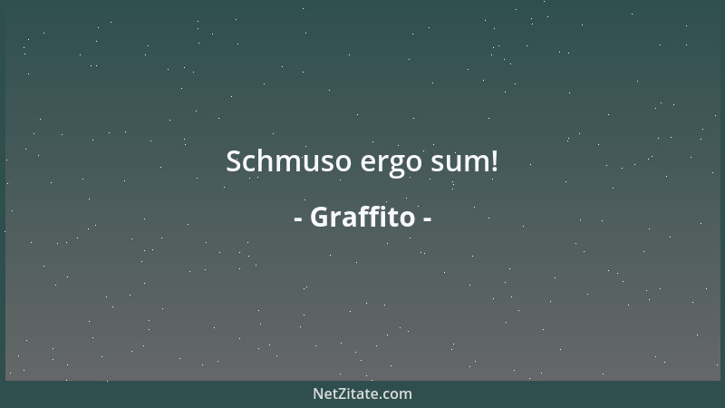 Graffito - Schmuso ergo sum!...