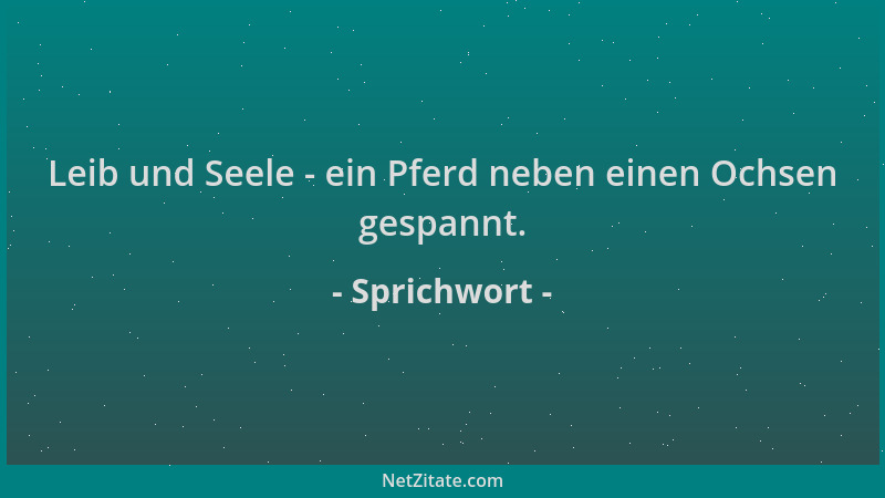 Sprichwort - Leib und Seele - ein Pferd neben einen Ochsen gespannt....
