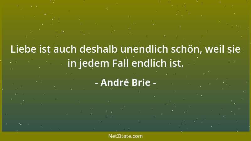 André Brie - Liebe ist auch deshalb unendlich schön, weil sie in jedem Fall endlich ist....