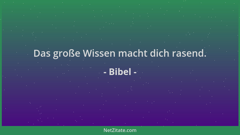 Bibel - Das große Wissen macht dich rasend....