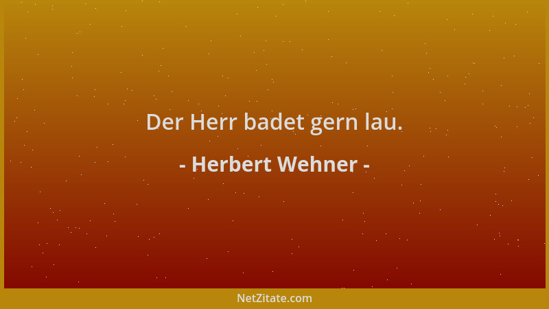 Herbert Wehner - Der Herr badet gern lau....