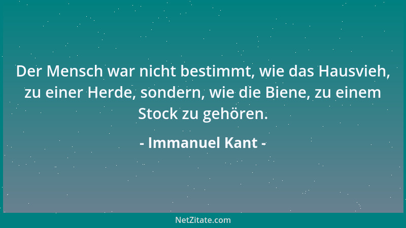 Immanuel Kant - Der Mensch war nicht bestimmt, wie das Hausvieh, zu einer Herde, sondern, wie die Biene, zu einem Stock zu...