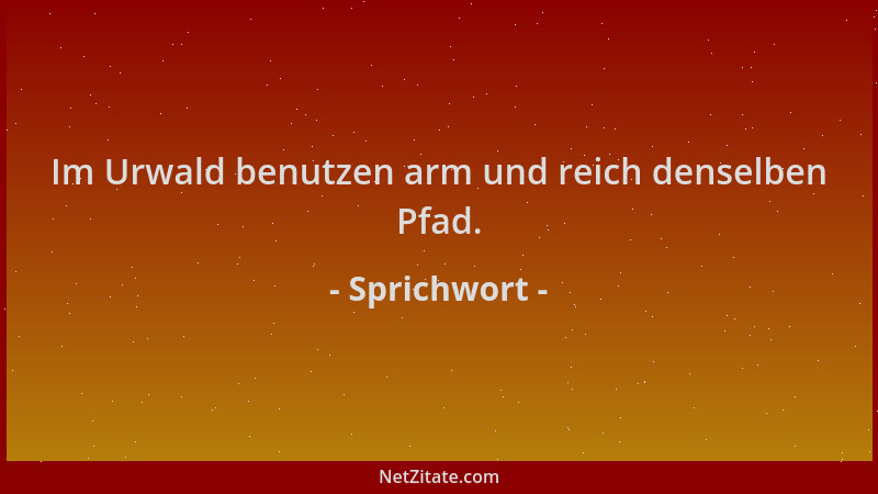 Sprichwort - Im Urwald benutzen arm und reich denselben Pfad....