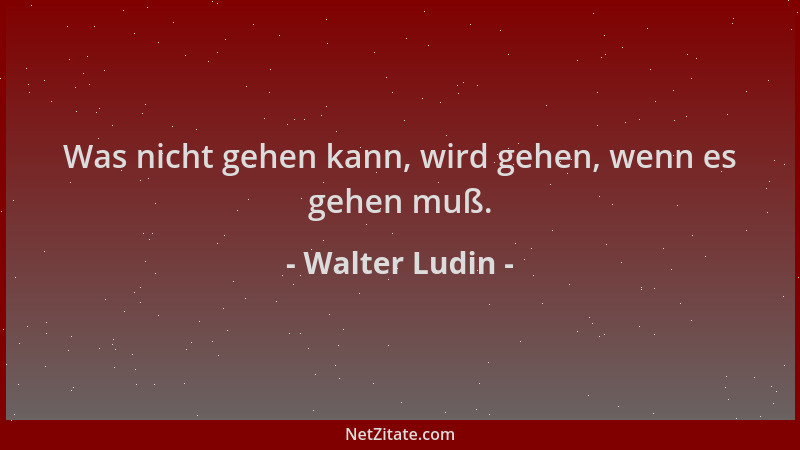 Walter Ludin - Was nicht gehen kann, wird gehen, wenn es gehen muß....