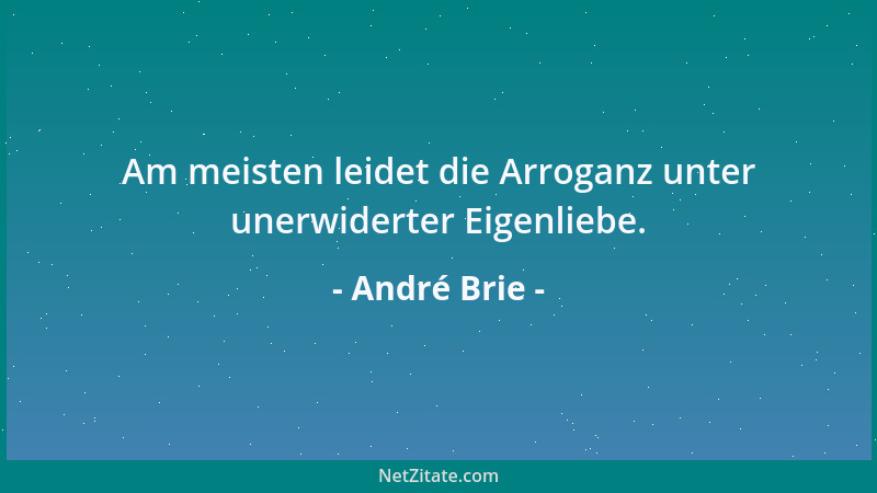 André Brie - Am meisten leidet die Arroganz unter unerwiderter Eigenliebe....
