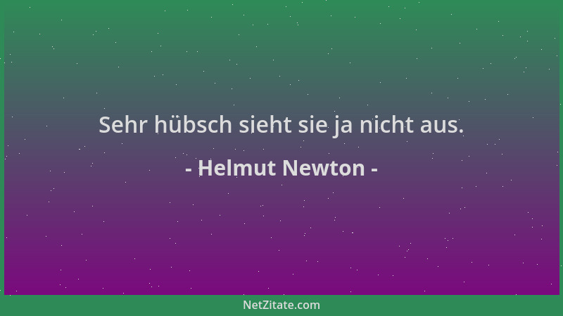 Helmut Newton - Sehr hübsch sieht sie ja nicht aus....