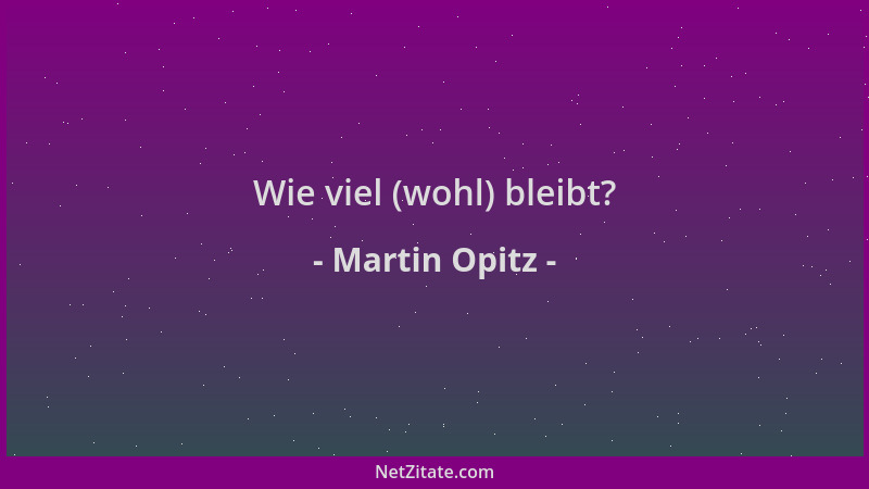 Martin Opitz - Wie viel (wohl) bleibt?...