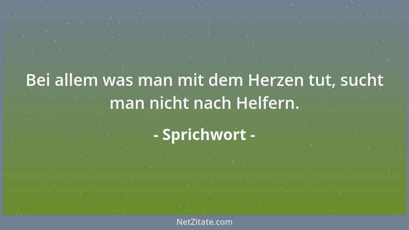 Sprichwort - Alle Sünden kann man verzeihen, nur die Dummheit nicht!...