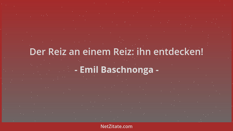 Emil Baschnonga - Der Reiz an einem Reiz: ihn entdecken!...