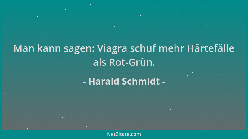 Harald Schmidt - Man kann sagen: Viagra schuf mehr Härtefälle als Rot-Grün....