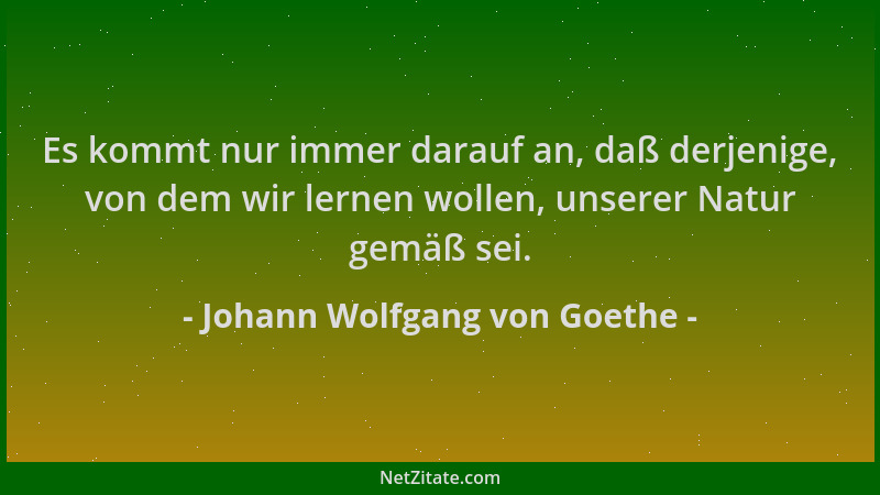 Johann Wolfgang von Goethe - Es kommt nur immer darauf an, daß derjenige, von dem wir lernen wollen, unserer Natur gemäß se...