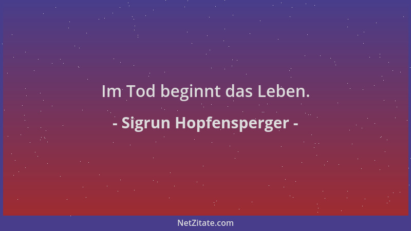 Sigrun Hopfensperger - Im Tod beginnt das Leben....